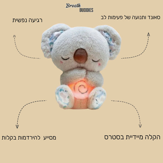 בובת הקואלה המפורסמת שלנו